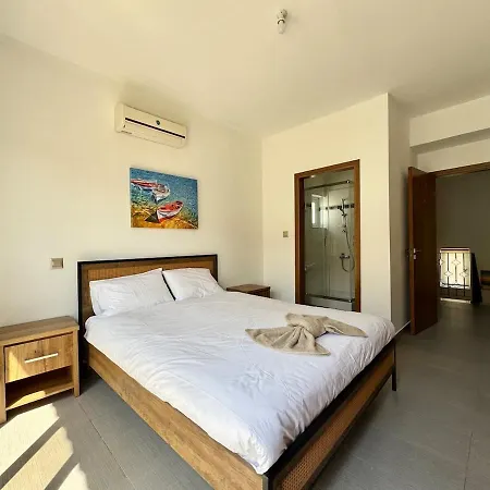 Coconuts - Nissi